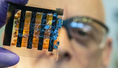 Gut Bacteria Sense Environment, Crucial for Health