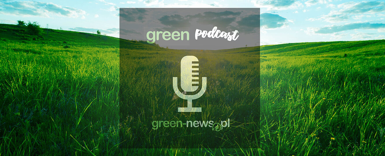 news.pl - Green Podcast: Zima testuje energetykę. Czy Polska udźwignie elektromobilność?