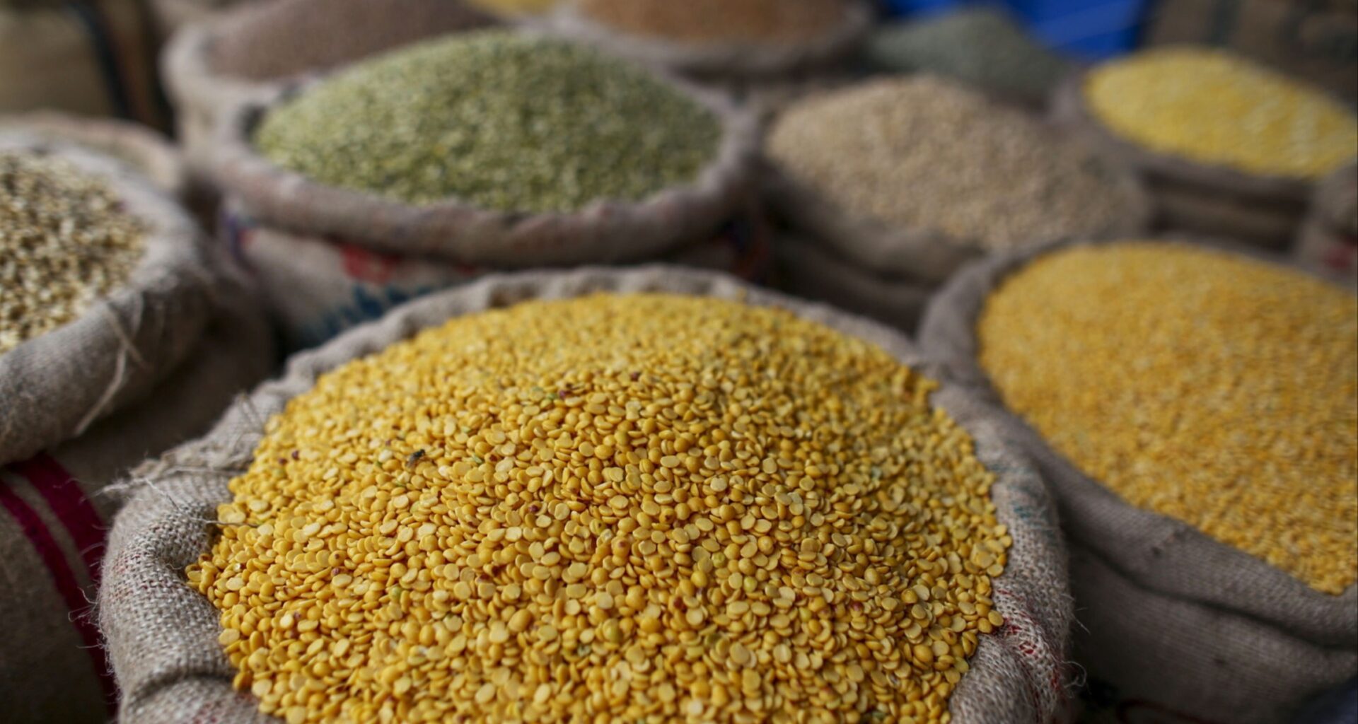 Alternative proteins could add €111bn to EU economy by 2040 