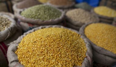 Alternative proteins could add €111bn to EU economy by 2040 