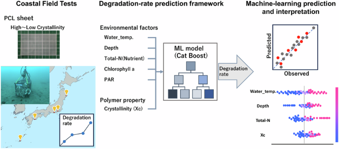 Relative contributions of crystallinity and environmental factors to the degradation rate of poly(ε-caprolactone) (PCL) under coastal field conditions