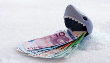 Financial leakage: Cost of EU’s reliance on US payment network