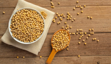 New research suggests alternative proteins could deliver €111bn to EU economy