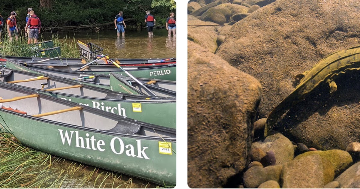 Chesapeake Bay Foundation PA Streams & Schoolyards Manager, Field Educator