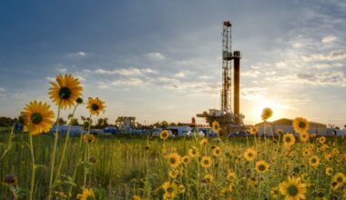 Down Arrow Button Icon