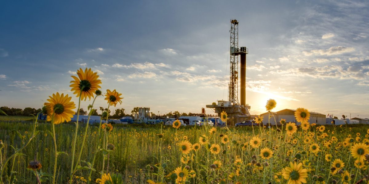 Down Arrow Button Icon