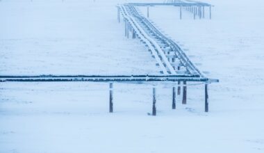 ConocoPhillips’ winter oil exploration plans can go ahead, federal judge rules