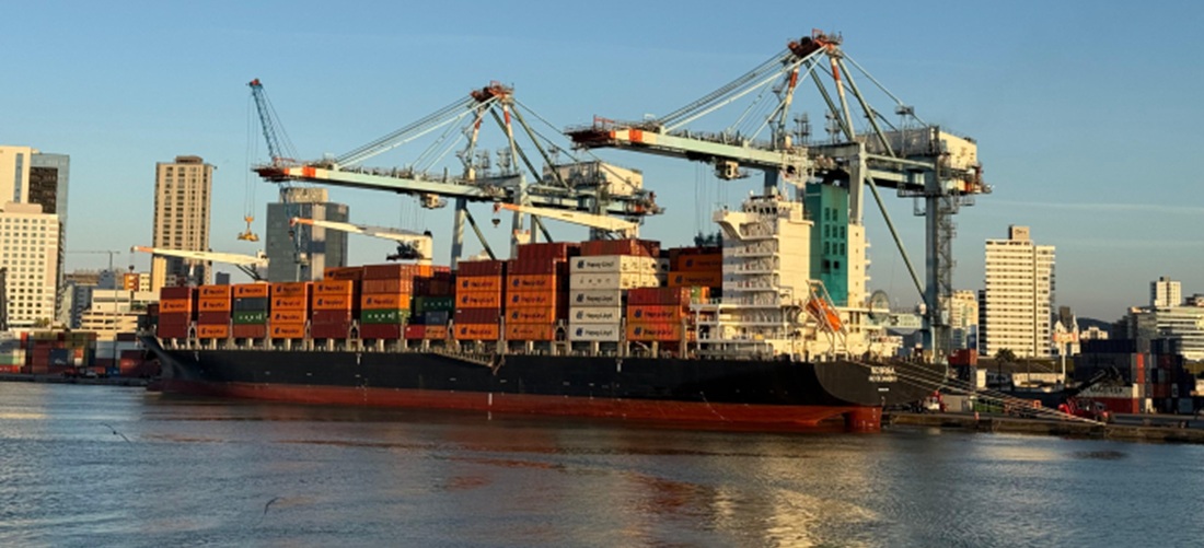 Port of Itajaí leads task force to open European market for Santa Catarina bananas