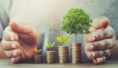 Turnover can shape environmental compensation: Supreme Court