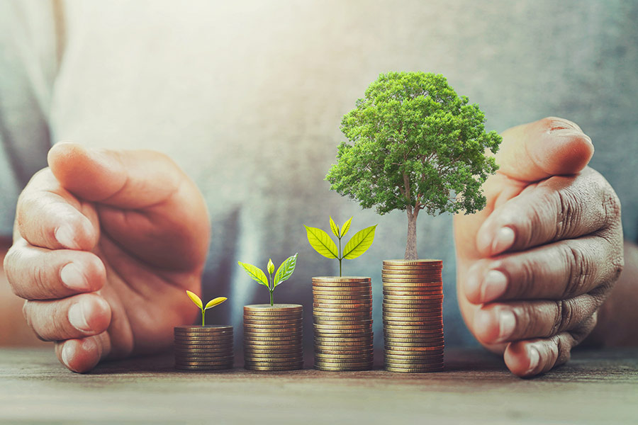 Turnover can shape environmental compensation: Supreme Court