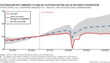 The Economic Costs of Brexit on the UK