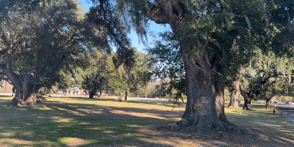Berkeley Co. plans Revolutionary War education site with Francis Marion statue