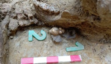 Avar period discovery could rewrite Hungarian history