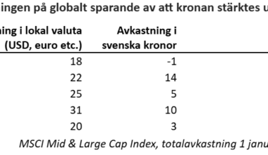 Långa rader börsrekord, men besvikelse för svenska sparare