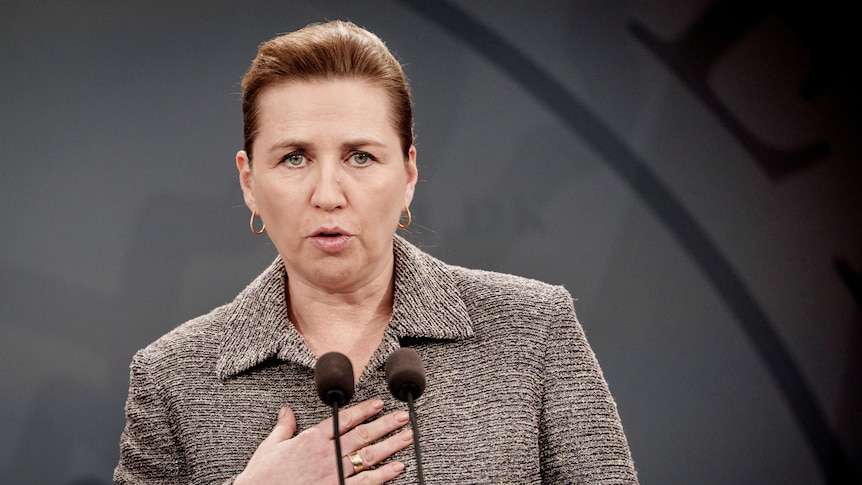 Danish prime minister calls snap election