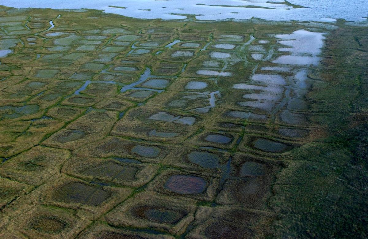 Lawsuits challenge renewed push for oil drilling in Alaska petroleum reserve and upcoming lease sale