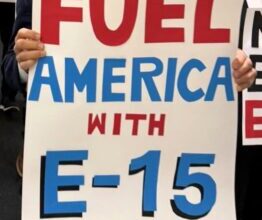 Groups Urge Council to Focus on E15