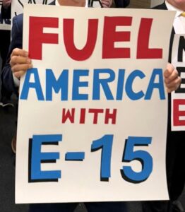 Groups Urge Council to Focus on E15