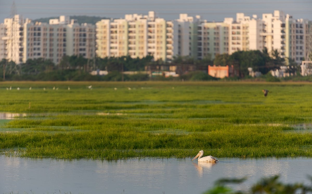 Budget 2026 Lacks Direct Climate Change Adaptation Measures, Focuses on Green Industry