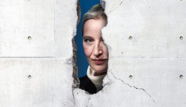 The AfD, the German President and Trump's Destruction of Transatlantic Ties