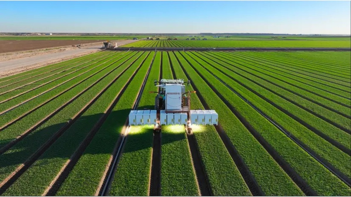 Modelo de IA treinado com 150 milhões de plantas passa a operar robôs agrícolas com capina a laser e adaptação contínua em campo.
