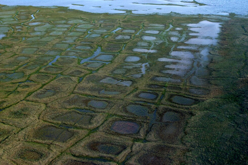 Lawsuits challenge upcoming oil and gas lease sale for Alaska petroleum reserve