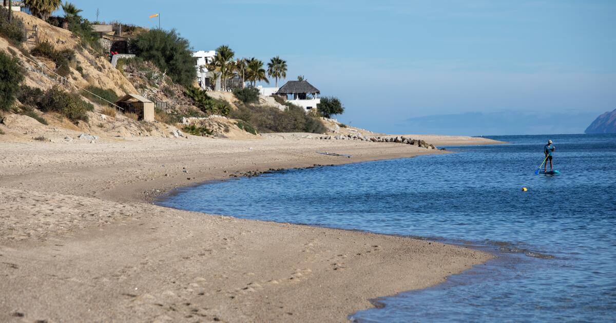 Contributor: Don't let natural gas exports wreck the Gulf of California ecosystem