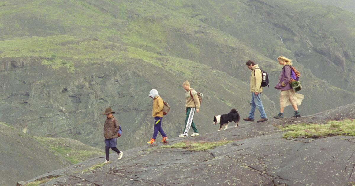 'The Love That Remains' review: Icelandic domestic drama reinvents the form
