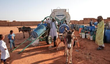 Letters to the Editor: The world cannot ignore famine in war-torn Sudan any longer