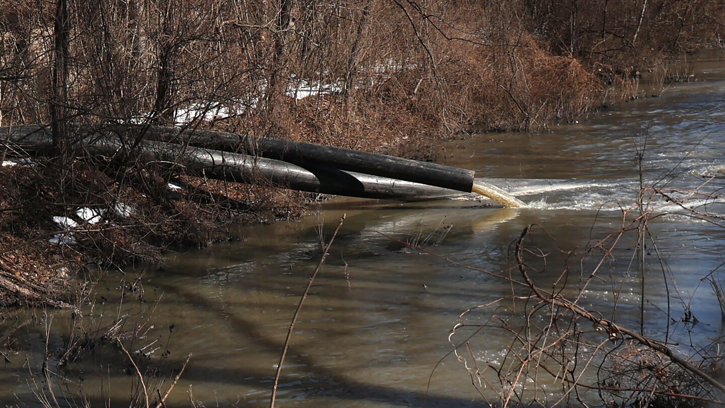 Trump Promises Federal Action to Clean Up Potomac River Sewage Spill