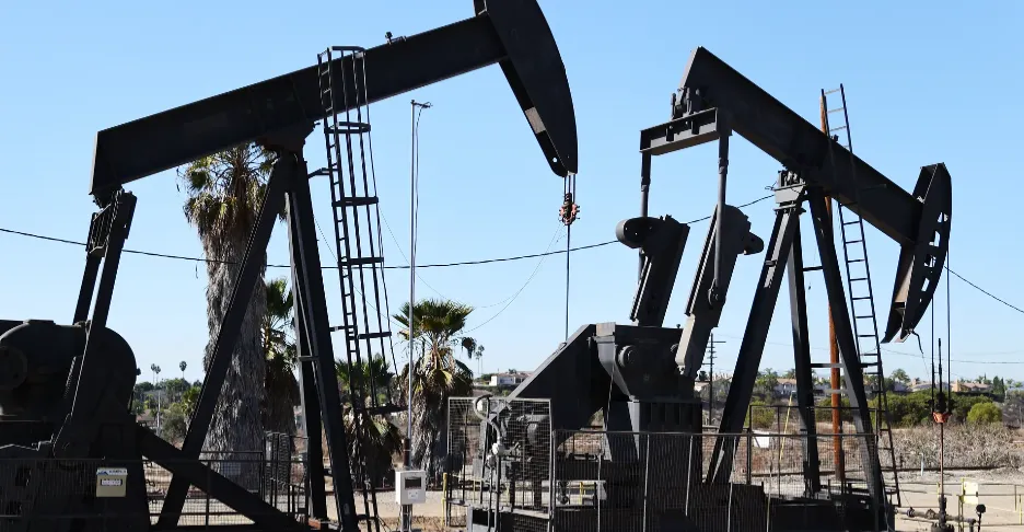 Basrah crude drops over 8% despite global oil rise