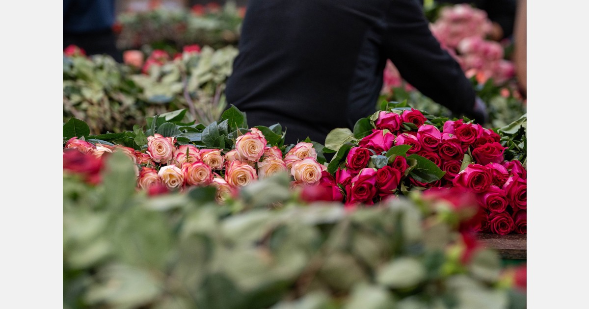 "Demand for International Women's Day was stable"