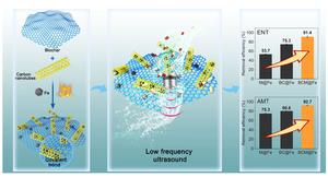 New biochar-based technology boosts antibiotic removal from water using low-energy ultrasound