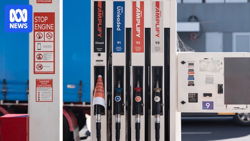 Economists warn cutting fuel excise could keep inflation higher for longer