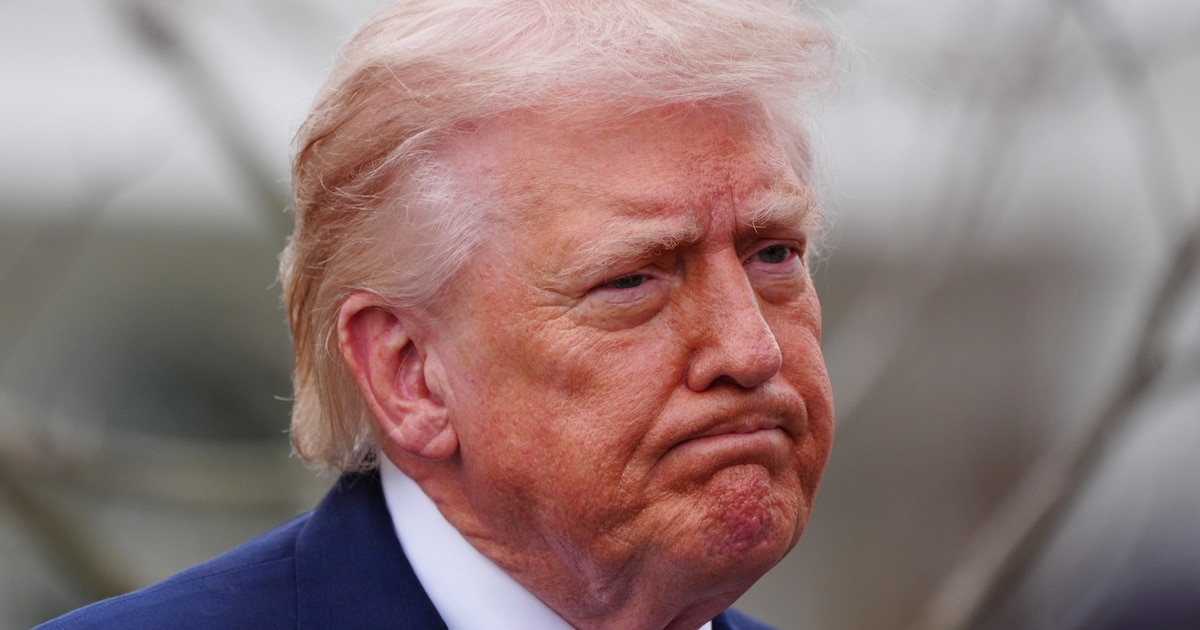 "Sans les États‑Unis, l'OTAN est un tigre de papier" : Donald Trump se vante en Iran… mais cherche désespérément des alliés