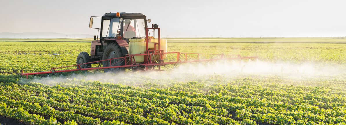 Why Nutrien (TSX:NTR) Is Up 9.9% After Analyst Upgrades And Geopolitics-Driven Fertilizer Price Gains