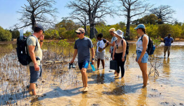 Threatened mangroves and disaffected youth: Geneva foundation sets sail on new expedition