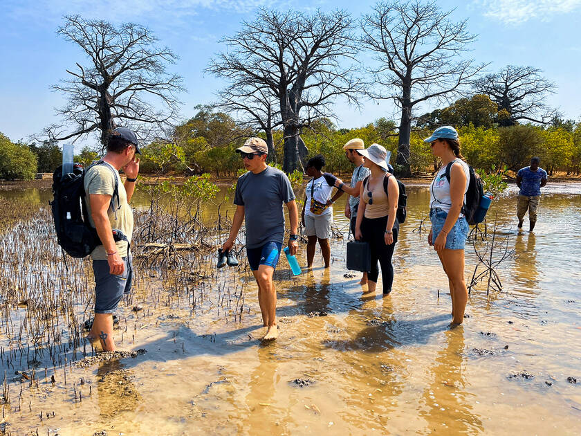 Threatened mangroves and disaffected youth: Geneva foundation sets sail on new expedition