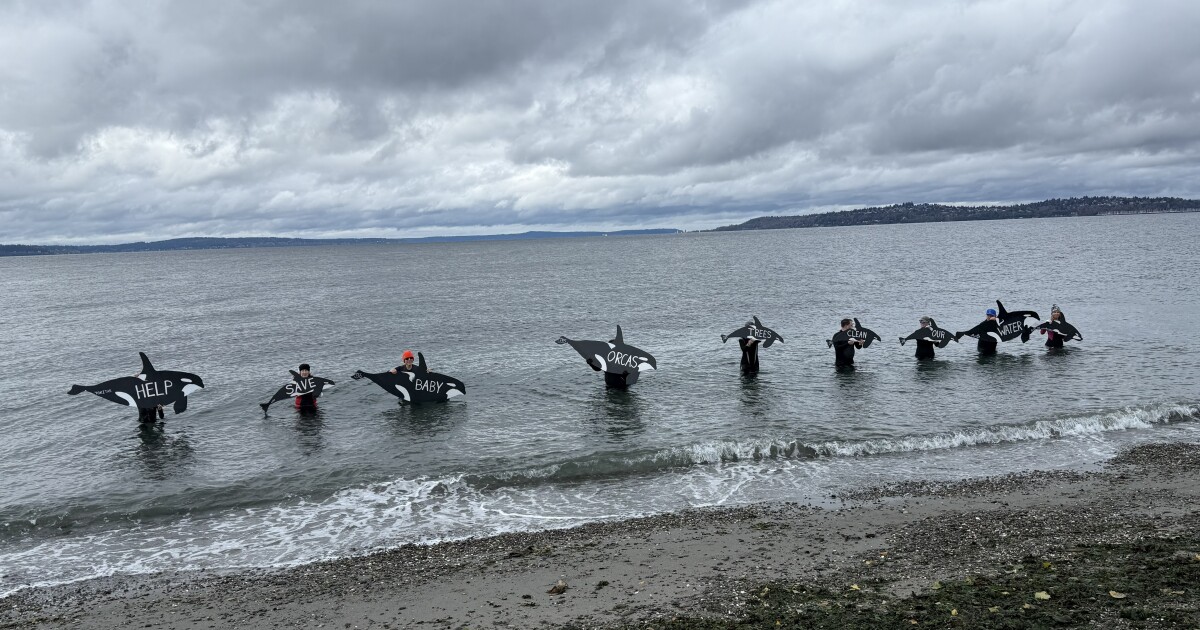 Environmental advocates want more scrutiny of Seattle's development plan