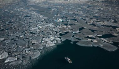 Arctic sea ice hits lowest winter level as unprecedented heat smashes records all over Earth