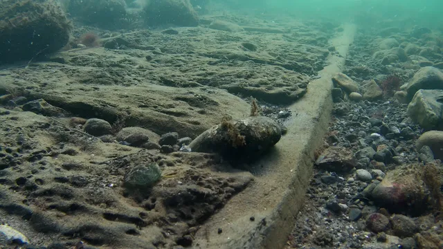 A sunken warship from Admiral Nelson's era has been discovered off the coast of Denmark