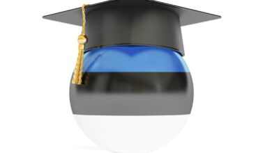 Webinar on Estonia’s experience of internationalising its education