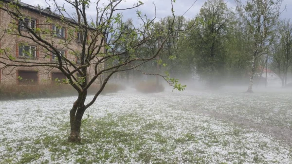 Storm with Rain, Snow, and Hail