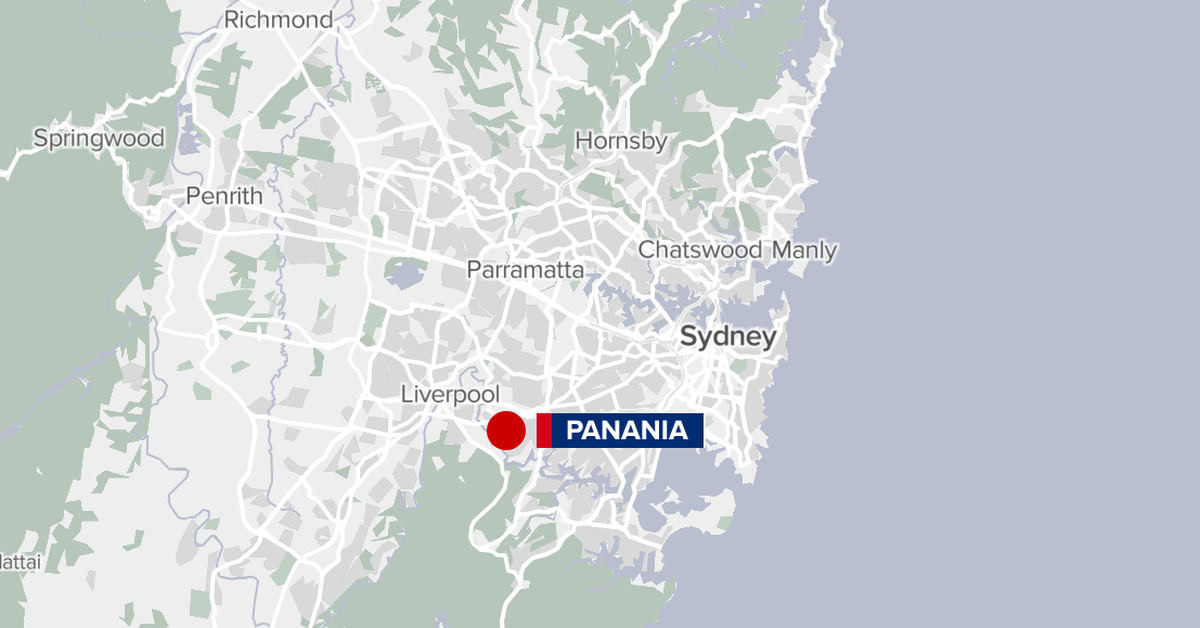 Panania Sydney: Childcare worker charged after allegedly slapping two boys
