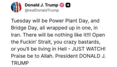 How to survive another 1000 days of Trump
