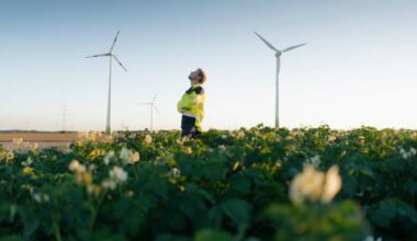 Most of energy in Portugal produced by renewable sources