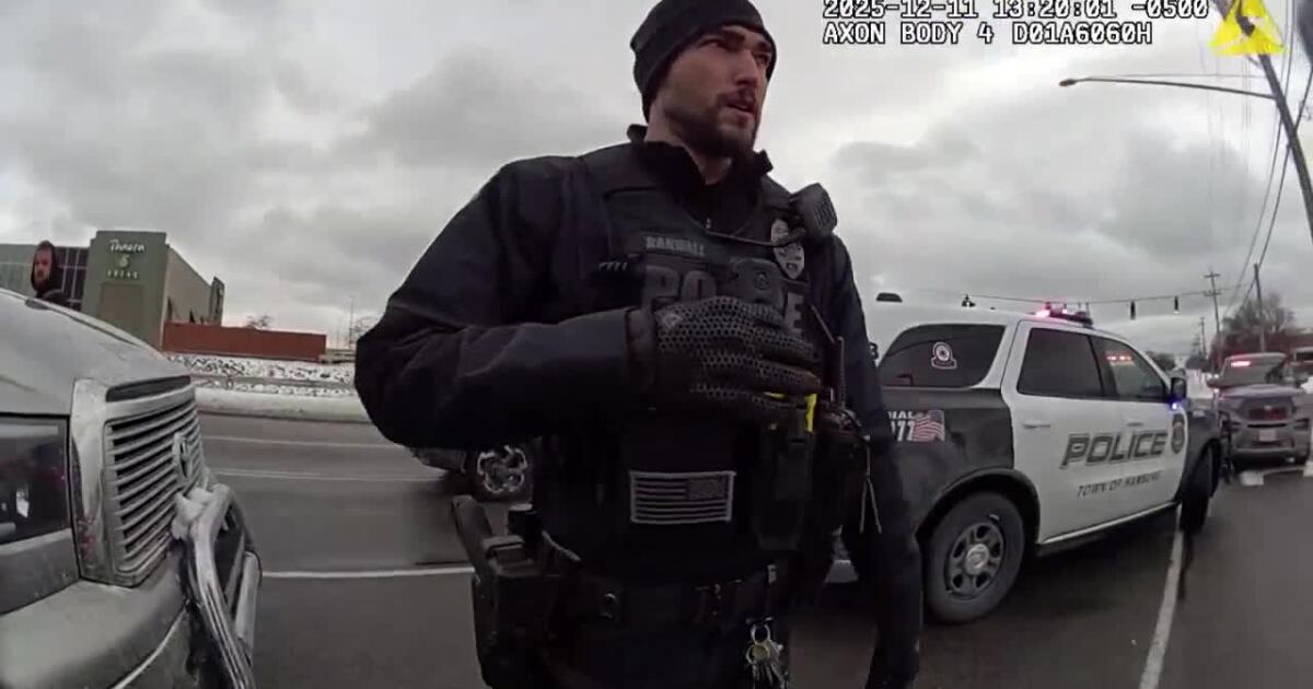 Hamburg police officer reprimanded for violating rules during immigration arrest