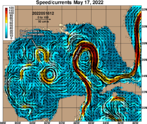 Ocean current speeds (cm/s, colors) at 0Z May 17, 2022, as analyzed by the Navy HYCOM model. Arrows show the direction of the current. The fastest currents were associated with the Loop Current, which was flowing northward from the Western Caribbean into the east-central Gulf of Mexico, before looping back to the southeast and flowing to the south of Florida. A warm eddy that broke off from the Loop Current in 2021 (which helped fuel the rapid intensification of Hurricane Ida on August 29, 2021) had drifted west to a position about 200 miles south of western Louisiana. (Image credit: Navy Research Lab)