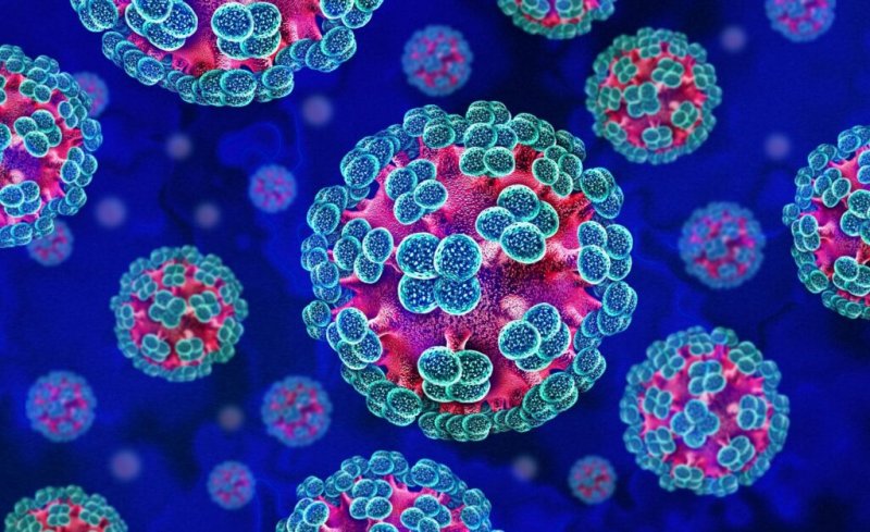 Spain reports new hantavirus case linked to Madrid hospital