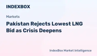 Pakistan Rejects Lowest Bid in Emergency LNG Tender Amid Energy Crisis - News and Statistics